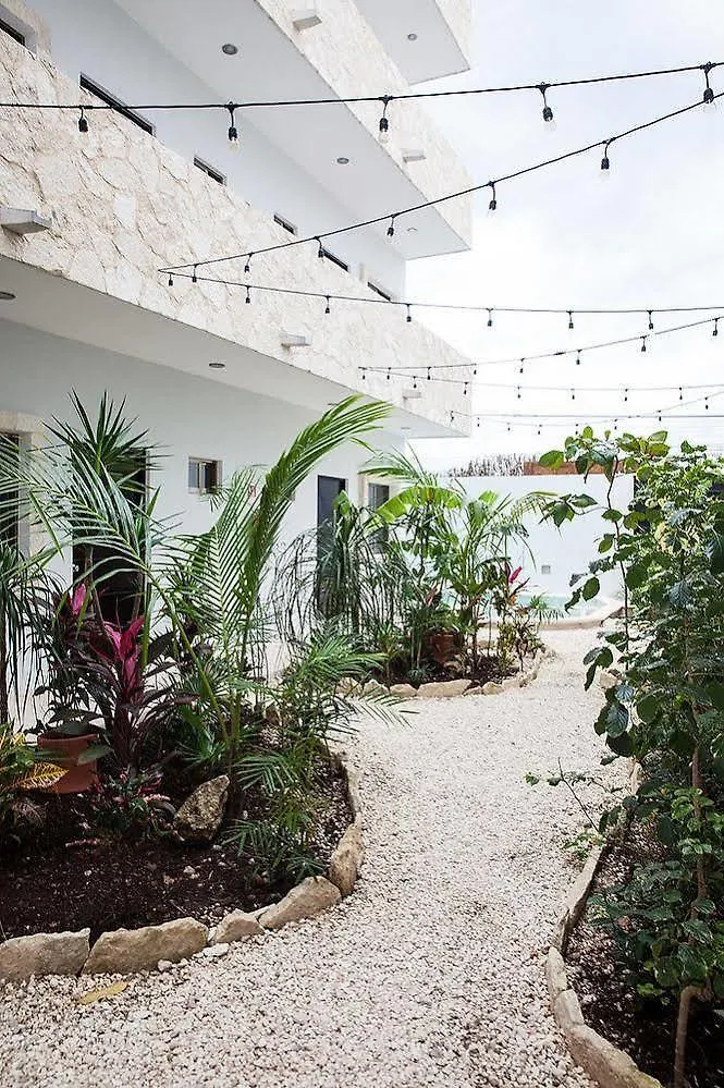 ***  Ginger Hotel Tulum Mexico
